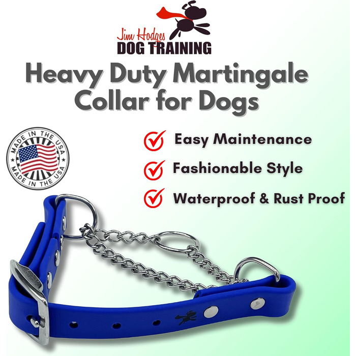 Нашийник для собак Artingale від JI HODGES, Biothane, не тягне, професійна якість, розмір XXS (блакитний)