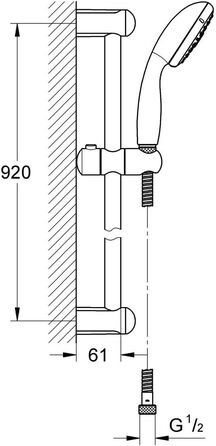 GROHE water-saving hand shower head, Tempesta 100 set including adjustable wall holder, EcoJoy, 2779810E (3 spray patterns)