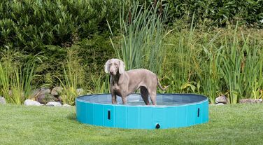 Trixie 39482 Dog Pool, ø 120 x 30 cm, turquoise/grey (ø 160 x 30 cm)