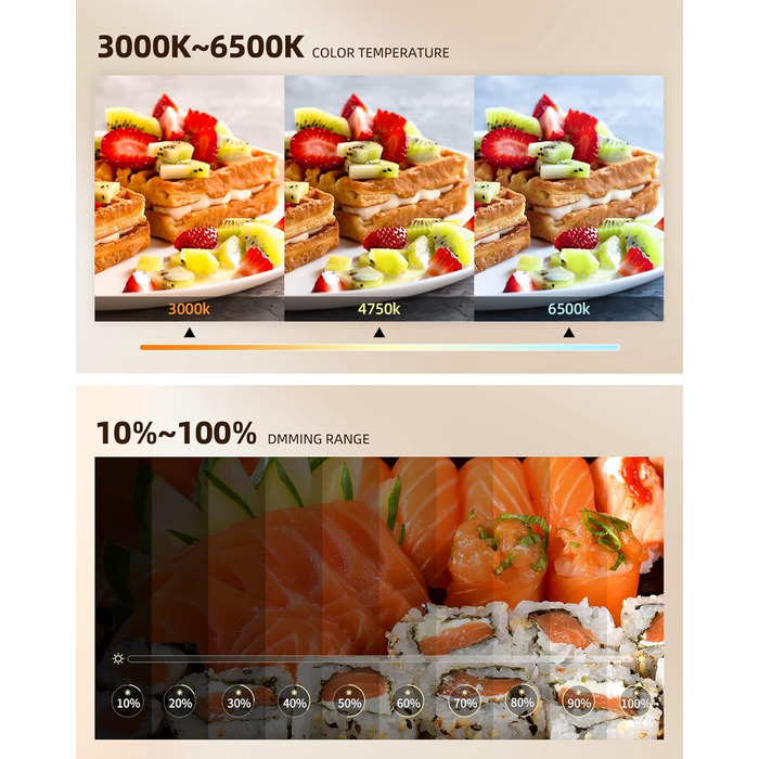 Настільний штатив з кільцевим світлом для кухні та фуд-відео – 10 дюймів | Штатив з кільцевим світлом для зйомки їжі, рецептів, відео та стріму