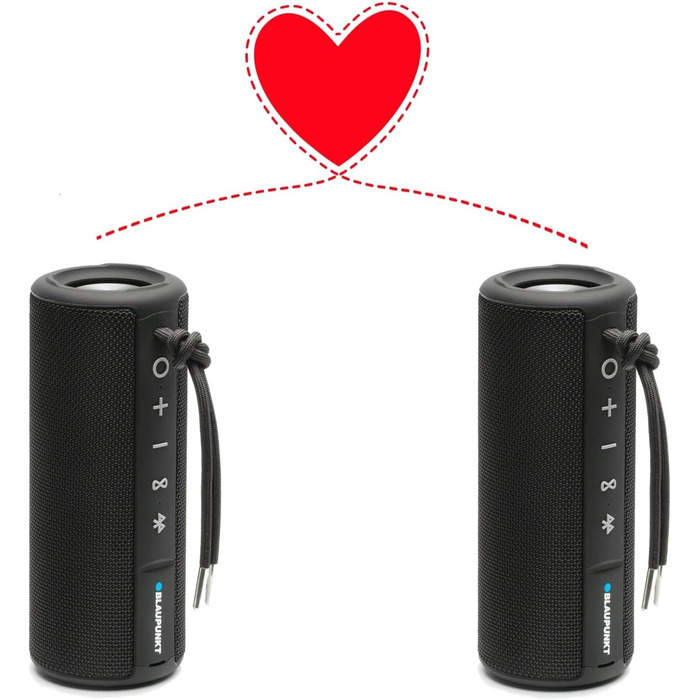 Портативна Bluetooth колонка Blaupunkt BT 214: бездротова, до 10 годин, Bluetooth 5.0, AUX, гучний зв'язок, чіткий звук, баси, чорна