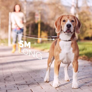 Висувна поводок для собак FurDreams – міцний, 5-метровий поводок з надійним затискачем | Нековзний ручка з контролем блокування | Міцний нейлоновий поводок, що не заплутується & гачок для нашийника (Чорний, Великий) Чорний Великий