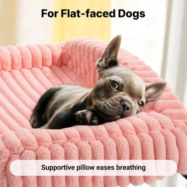 Ліжко для собак Veehoo, софа для маленьких собак, м'яка, з ортопедичним матрацом, 60x45x10 см, білий слонової кістки (рожевий)