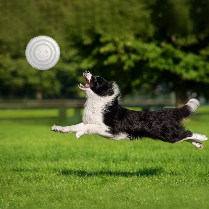 Складаний миска для собак SLSON, 2 шт., з кришкою та карабінами, 1000 мл, блакитний та зелений