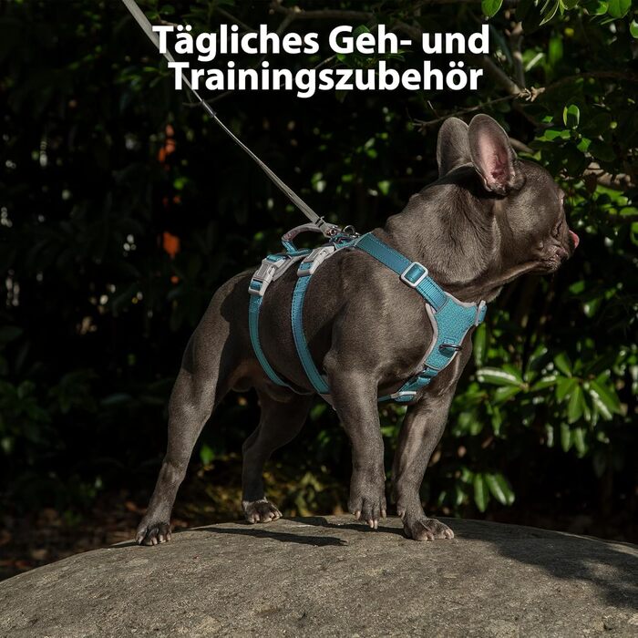Шлейка безпеки для собак Huntboo, антизламна, зі світловідбиваючими елементами та м'якою ручкою, регульована жилетка для маленьких собак, для прогулянок та тренувань (S, Синій, X-Small, упаковка з 1)