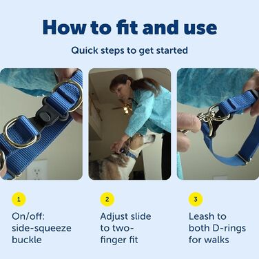 PetSafe KeepSafe надійне зносостійке нашийник для собак червоний Large (2.5 см)