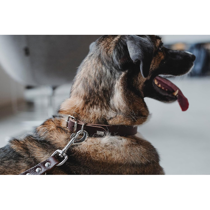 Нашийник для собак HUNTER Grenada з натуральної шкіри, ручної роботи, Німеччина, для тренувань та повсякденного використання, міцний, комфортний, елегантний дизайн, розмір: 39-48 см, колір: темно-коричневий