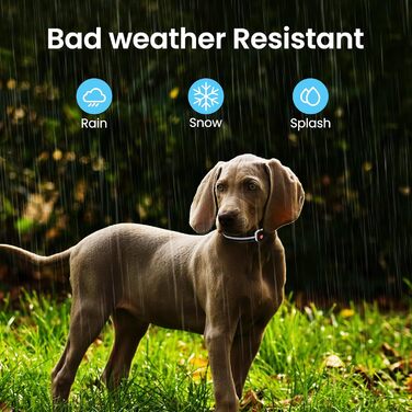 Світлодіодне нашийник для собак Masbrill з підзарядкою, 7 кольорів RGB, 8 режимів світіння, регульований, вологостійкий, для собак маленьких, середніх та великих порід, чорний, розмір M