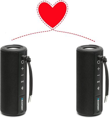 Портативна Bluetooth колонка Blaupunkt BT 214: бездротова, до 10 годин, Bluetooth 5.0, AUX, гучний зв'язок, чіткий звук, баси, чорна