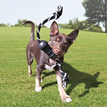 KONG Extreme Dental Dog Toy - Natural Rubber Chew Toy for Dental Care - Cleans Teeth and Gums - For Large Dogs