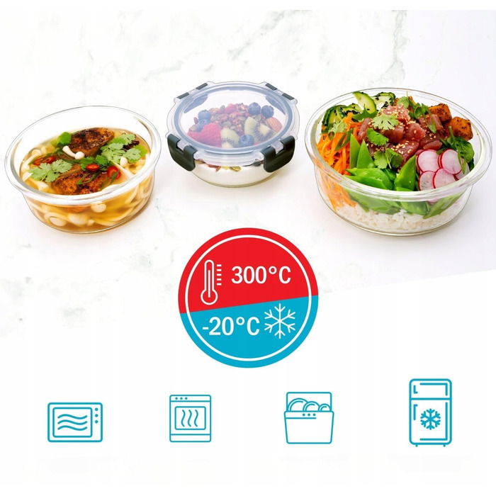 Набір зі 10 скляних ланчбоксів для їжі, термостійкі контейнери з герметичною кришкою