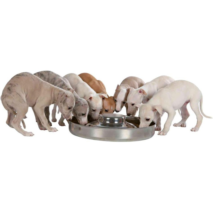 Миска для цуценят Trixie, нержавіюча сталь, 4 л, діаметр 29 см