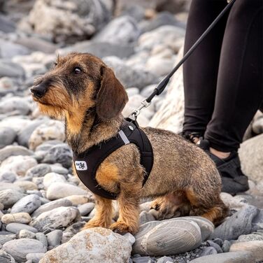 Шлейка для собак Curli Clasp Softshell чорна XS