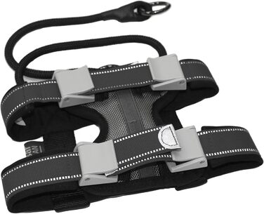 Pack Leader Collar™ - Dog Whisperer Cesar Millan Training Collar (Medium, Gray)