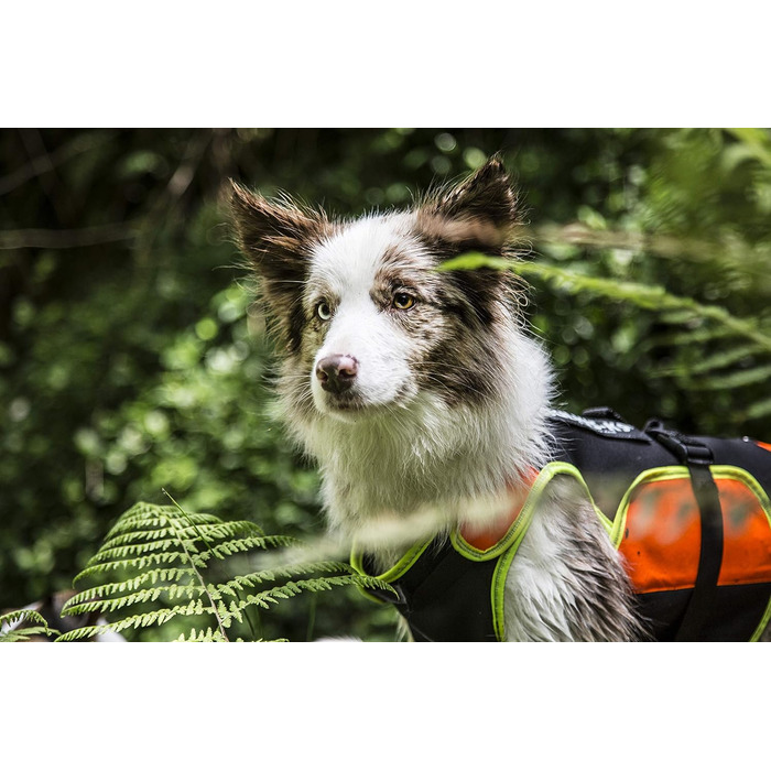 Жилет для собак Julius-K9 IDC 3в1, чорний та неоновий, розмір M (1 шт.)