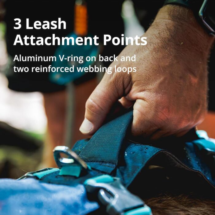 Шлейка для собак Ruffwear Flagline з ручкою, легка, регульована, 3 точки кріплення для повідка, посилена стрічка, міцний металевий V-кільце, Базальтовий сірий, розмір Small