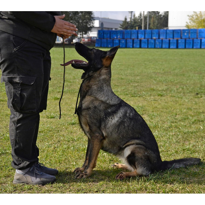 Нашийник для собак Dingo Gear, ручної роботи, міцний шнур, 2 обмежувачі, водонепроникний, для K9-тренувань, IGP, агітація, перехоплення, слухняність, чорний, L (S04049)