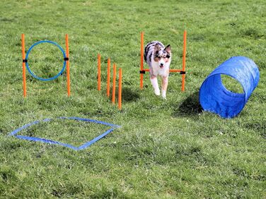 Набір для дресирування собак Agility: тунель, обруч, бар'єри, слалом, стійки