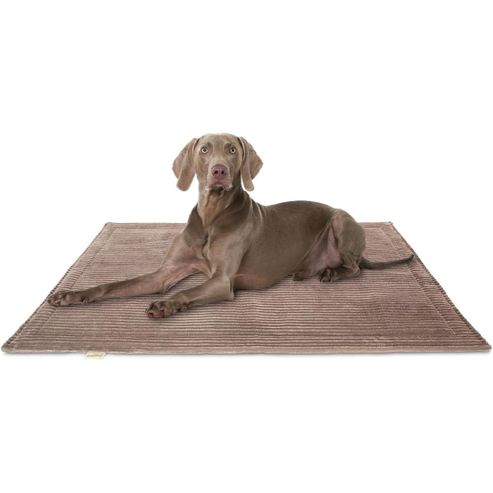 Лежанка для собак Knuffelwuff Timor, 80x60 см - м'яка, зручна, легко миється, для великих, середніх та малих собак