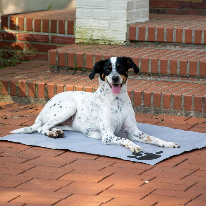 Kühlmatte für Hunde von dobar® - selbstkühlende Liegematte für Hunde und Katzen - 99,5 x 70 cm - Grau