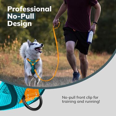 Шлейка для собак FAYOGOO, без чіпкості, з переднім кріпленням, світловідбиваюча, регульована, м'яка, з підкладкою, для малих, середніх та великих собак, для прогулянок (Блакитна, S)