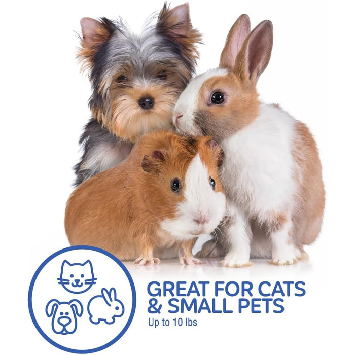 Клітка для собак та котів Petmate, пластикова, одностулкова, з фронтальним доступом, розмір L (48 x 32 x 27 см), колір зелений