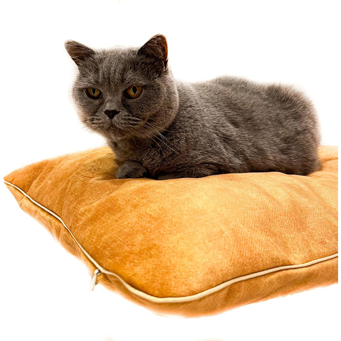 М'який лежак для собак та котів: жовтий, 60x40 см, міцний та комфортний