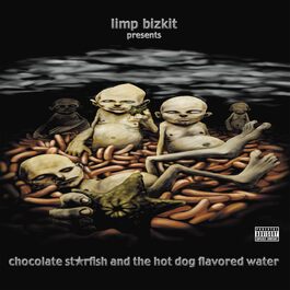 Вінілова платівка Chocolate Starfish & The Hot Dog - Flavoured Water (2LP) - Оригінальний вініл