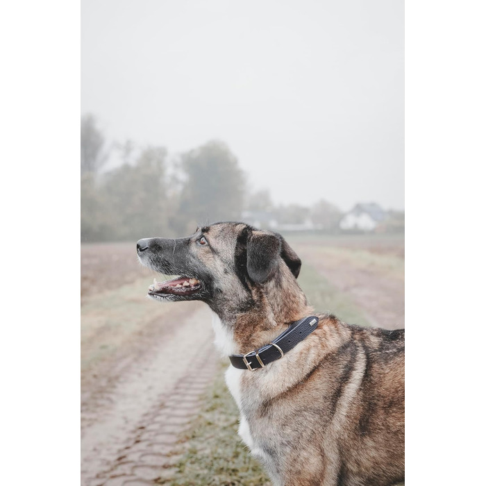 Нашийник для собак HUNTER Grenada з натуральної шкіри, темно-синій, ручної роботи, для тренувань та повсякденного використання, міцний, комфортний, елегантний дизайн, розмір 39-48 см