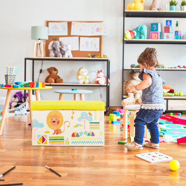 Kids' Storage Box