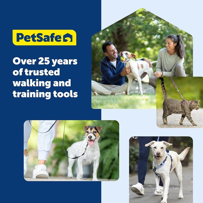 PetSafe Sanfter Führer: Нашийник-тренер з DVD (яблучно-зелений, Medium)