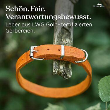 FREUDENTIER Ошийник для собак з натуральної шкіри Alsterufer - ручної роботи, Sunset Orange, 25,5-31 см