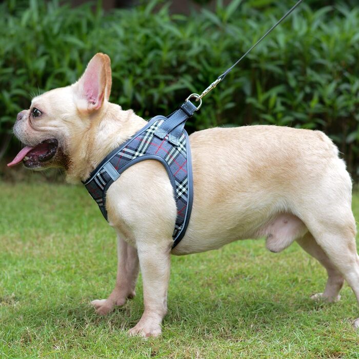 Шлейка для собак Suredoo, маленькі та середні породи, анти-тяга, світловідбиваюча, дихаюча, для цуценят (M, 34-39см; XL, 46-53см, 8-10.5кг), сіра в клітинку