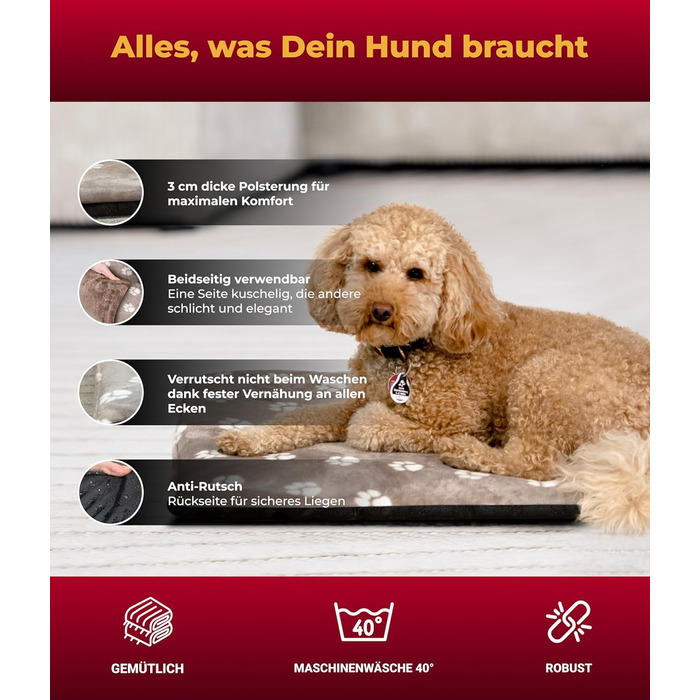 Килимок для собак XS (45x65 см) – неслизький та затишний з 3 см наповнювачем – ідеально для дивану, авто та переноски – Made in Germany (65 x 95 см, Tatze Beige)