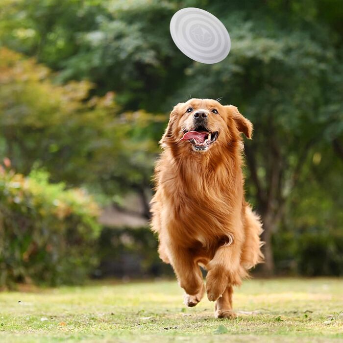 Складані годівниці для собак SLSON (2 шт.) з кришкою та карабінами. Зручні для прогулянок, подорожей та щоденного використання (L, блакитний, рожевий)