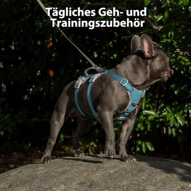 Шлейка безпеки для собак Huntboo, антизламна, зі світловідбиваючими елементами та м'якою ручкою, регульована жилетка для маленьких собак, для прогулянок та тренувань (S, Синій, X-Small, упаковка з 1)