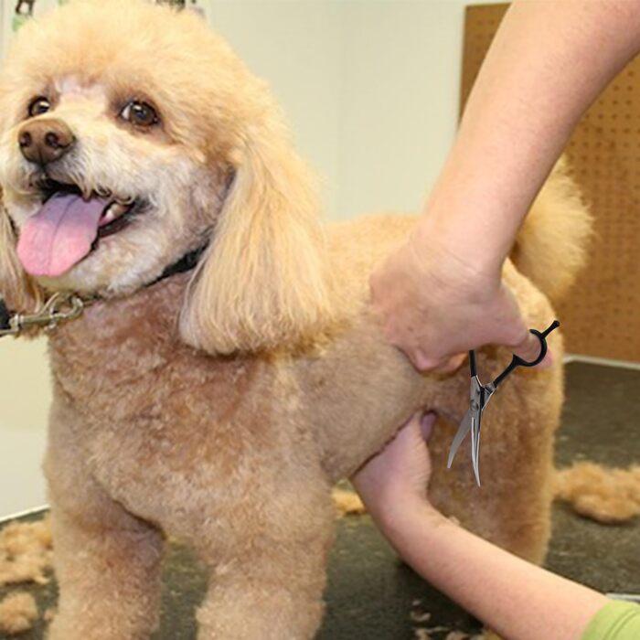 Ножиці для собак Dream Reach 6,5 дюйма, професійні, з нержавіючої сталі 440C, вигнуті, у подарунковій коробці, для грумінгу собак та котів