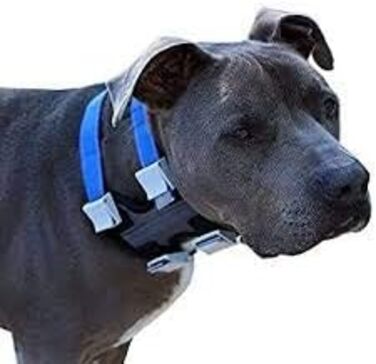 Pack Leader Collar™ - Dog Whisperer Cesar Millan Training Collar (Medium, Gray)