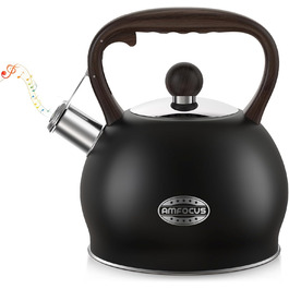 Чайник-свисток Teekessel Pfeifende Teekanne для плити, 2.64 л, нержавіюча сталь, ручка з дерев'яним декором, чорний