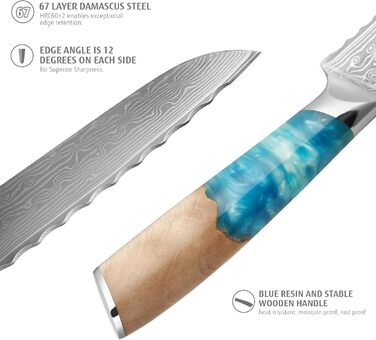 Японський ніж з дамаської сталі Hecef, 20 см, професійний кухонний ніж з ергономічною ручкою з смоли, 67 шарів, з захистом для ножа, подарунок для шеф-кухаря та любителів кулінарії
