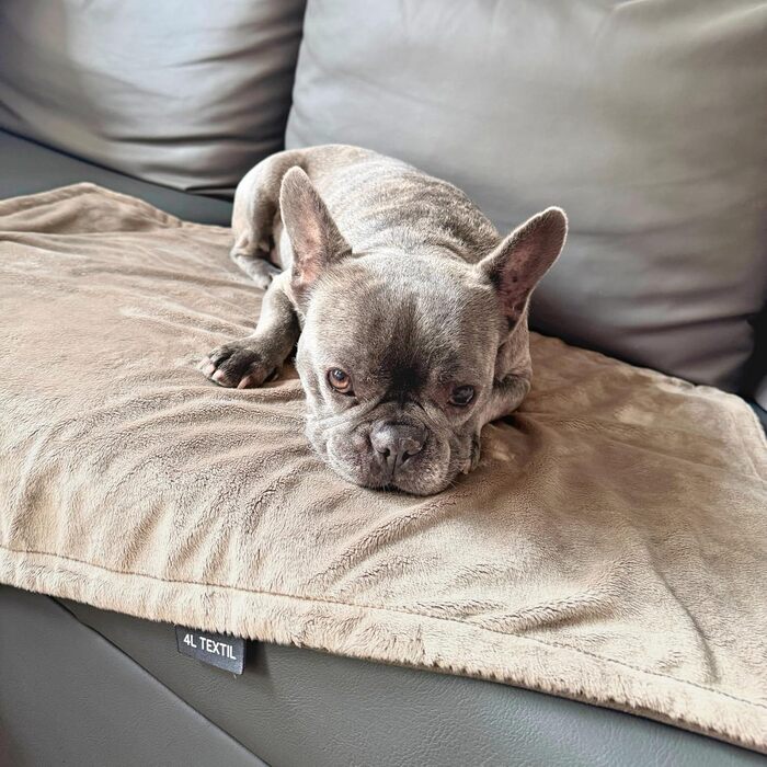 М'яка підстилка для собак та котів 60x40 см, бежева - 4L Textil