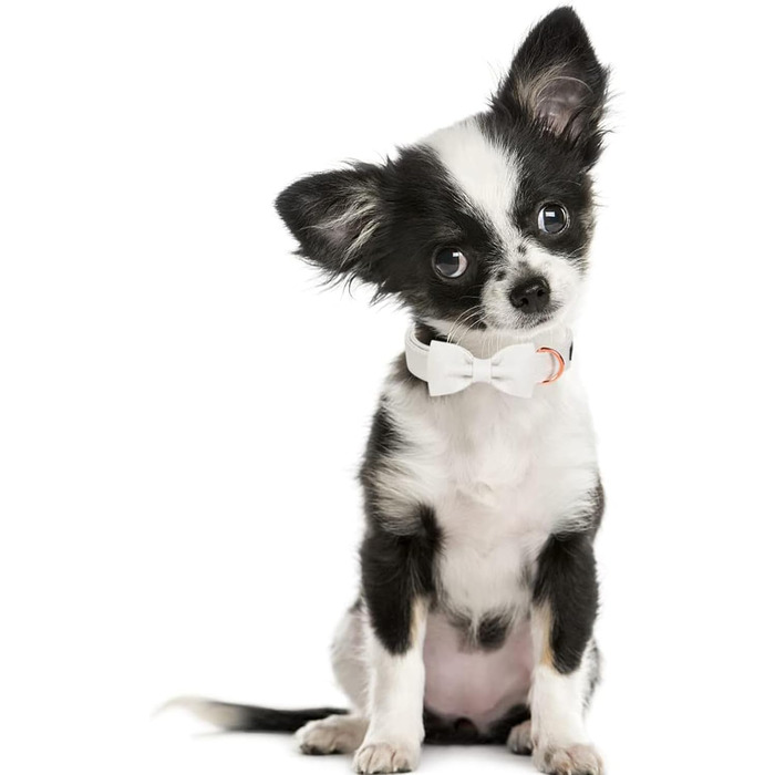 Легкий собачий ошийник Aring Pet для дівчаток, бавовна, з бантиком, регульований, для великих собак (S, білий)