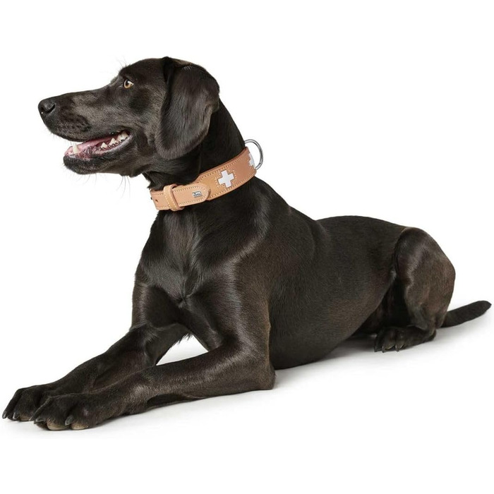 Нашийник для собак HUNTER Swiss з м'якої шкіри, ручної роботи, розмір M-L (60), колір: бежевий/натуральний