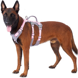 колір: геллроза