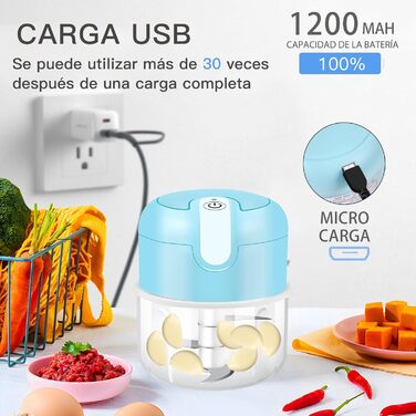 Електричний міні-подрібнювач EASYSPEED Zerkleinerer: 250 мл, для м'яса, овочів, дитячого харчування, кемпінгу (блакитний)
