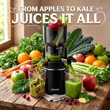 Шнекова соковижималка GarveeHome Entsafter Slow Juicer 250W для холодного віджиму