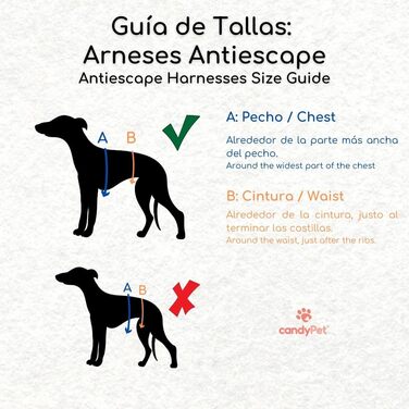 Поясний нашийник для собак, проти витягування, для італійських грейхаундів, віппетів, грейхаундів, подонко - безпечний, дихаючий та довговічний, ідеальний для походів, тренувань та бігу, антрацитовий колір, розмір M