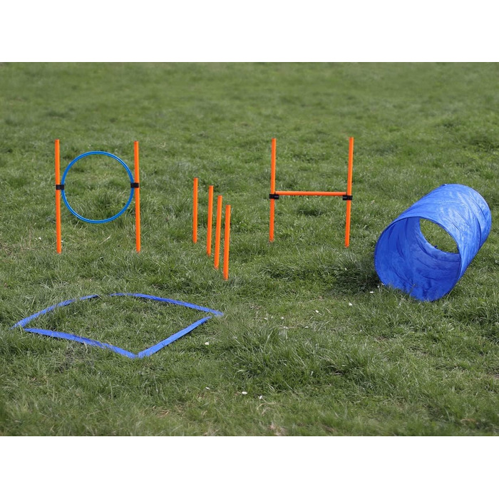 Набір для аджиліті для собак маленьких та середніх порід | Набір для дресирування собак з бар'єрами, тунелем та кільцем для стрибків | Початковий набір для собачого спорту