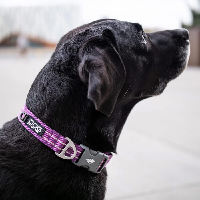 Нашийник для собак DOG Copenhagen Urban Style Classic Red, розмір L (Червоний)