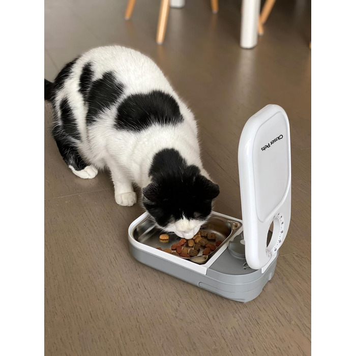 Автоматичний годівниця для котів та маленьких собак Closer Pets C100 з таймером – до 400 г, з нержавіючою чашею